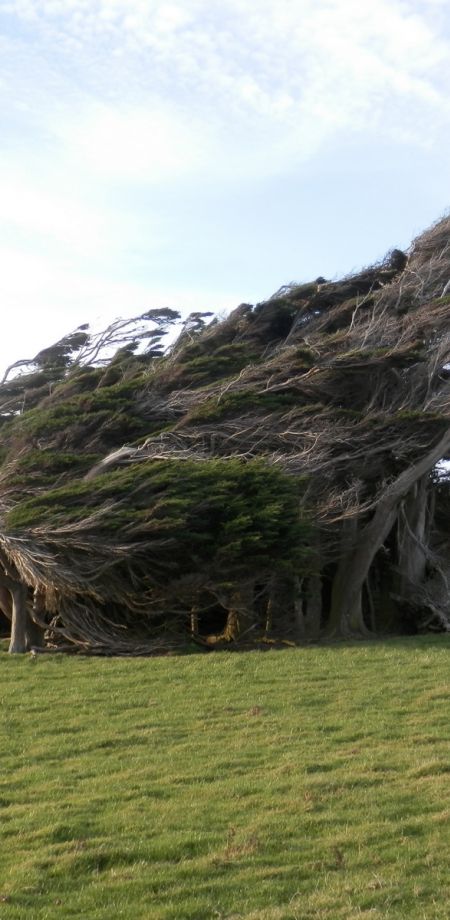 Slope Point Fergus Sutherland3