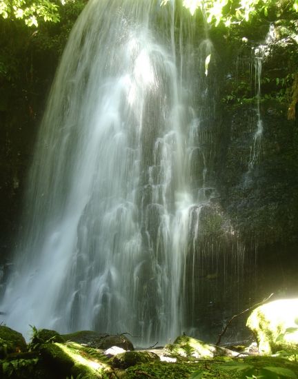 Matai Falls Fergus Sutherland