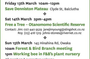 FB calendar March 260225