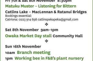 FB calendar Nov 2025 v2 002