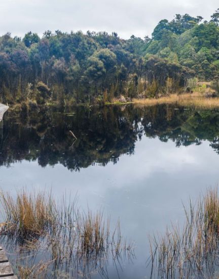 Lake Wilkie Southland New Zealand Credit Sam Deuchrass 2