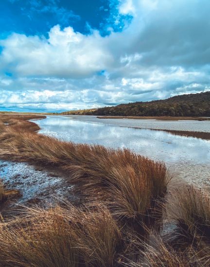 Tautuku Estuary Boardwalk Southland New Zealand Credit Great South 1 v2