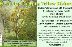 spring tree care 2025 002