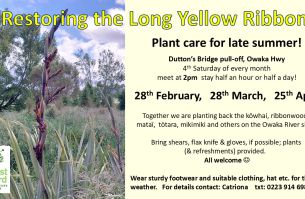 tree care late summer 2026a