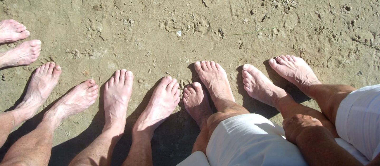 Home page getting around Fergus Sutherland