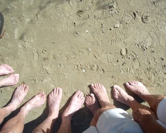 Home page getting around Fergus Sutherland