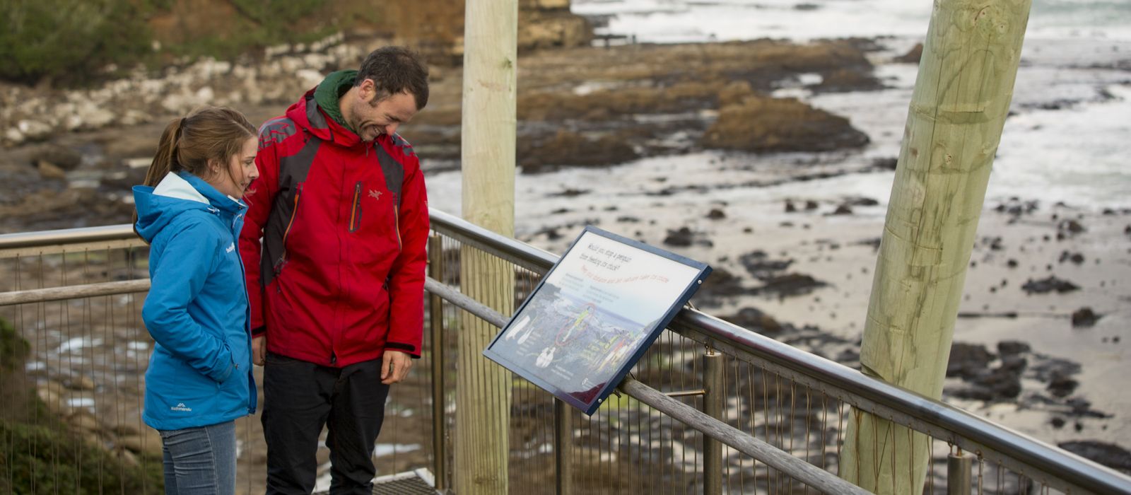 Curio Bay Info viewpoint