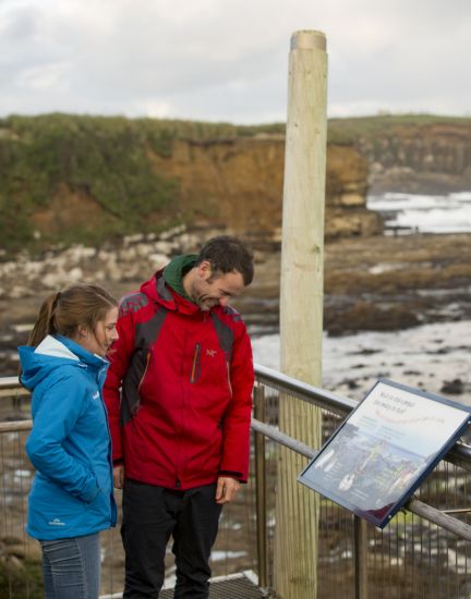 Curio Bay Info viewpoint