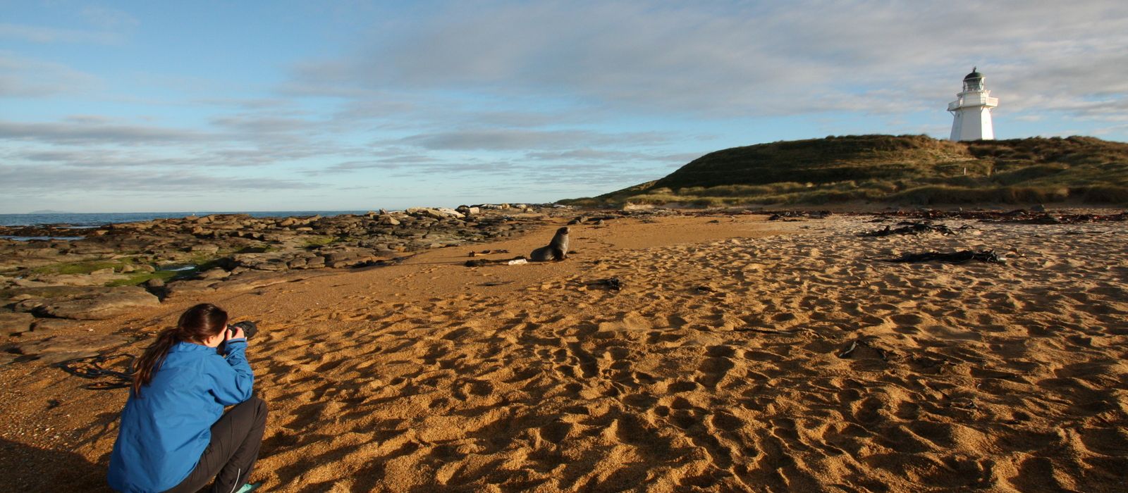 Copy of The Catlins offers premier nature and wildlife experiences